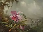 Orchids and Hummingbirds, 1875–1890