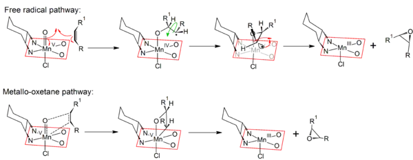 Mechanisms of the free-radical and metallo-oxetane pathways of the Jacobsen-Katsuki reaction