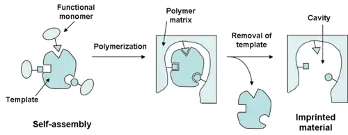 Preparation of molecularly imprinted material