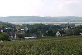 A general view of Nesles-la-Montagne