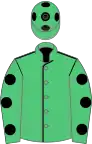 Emerald green, black seams, emerald green sleeves, black spots and spots on cap