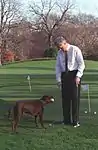 Bill Clinton and his dog Buddy in 1998