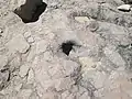 Hohokam bedrock mortar in Davidson Canyon, near its confluence with Ciénega Creek