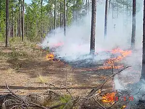 Prescribed burning