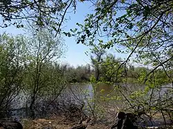 Landscape in Privolzhsky District