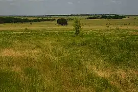 Ranch and pastureland seen from Highway 339, Limestone County Texas, USA USA (26 June 2021)