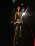 Moving skeleton of a bicyclist