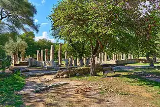 View of the palaestra from outside the southeast corner