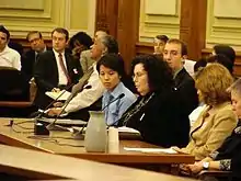 Executive Director of Woodhull Sexual Freedom Alliance, Ricci Levy, testifying in Washington, D.C. at a hearing on same-sex marriage on November 2, 2009 in front of the Council of the District of Columbia; Chair of the hearing was Commissioner Phil Mendelson.