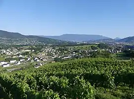 A view of Saint-Jeoire-Prieuré from the vineyards