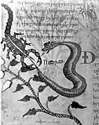 "Scorpion and snake fighting", Anglo-Saxon Herbal, c. 1050