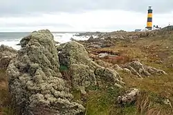 Rocky shore facing South East