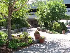 Trees on USI's campus