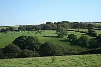 Treneglos: towards the church. The top of the church tower is just visible among the trees to the right of centre