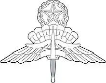 US Military Master Free Fall Parachutist Badge