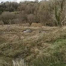 A photo showing a terraced wetland slope, with pools of water at various stages, and with plant growth including grasses, sedges, shrubs and trees. The River at the bottom of the slope is not visible - the view of it is blocked by trees.