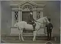 His father on a horse, Lissrenny, circa 1870.