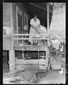 Mrs. Butler Phillips, wife of miner, dressing a chicken on back porch of her home, 1946