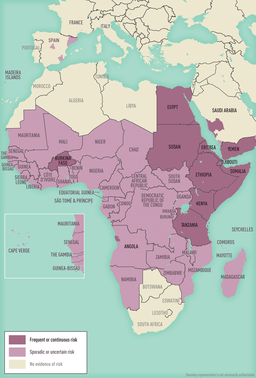 Map 5-04 Dengue risk in Africa, Europe, & the Middle East